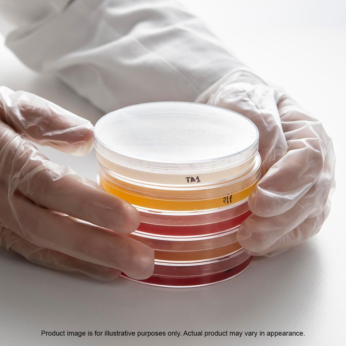 /Content/Upload/Product/Agar_Plates_Product_Image_Placeholder_1200x1200_1200_1200_1.jpg