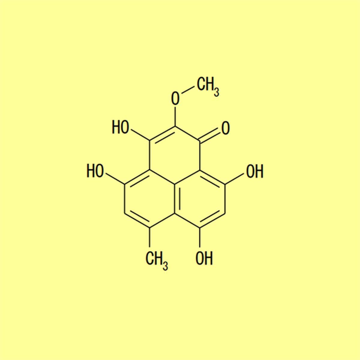 /Content/Upload/Product/BLK-0690_1200_1200_1.jpg