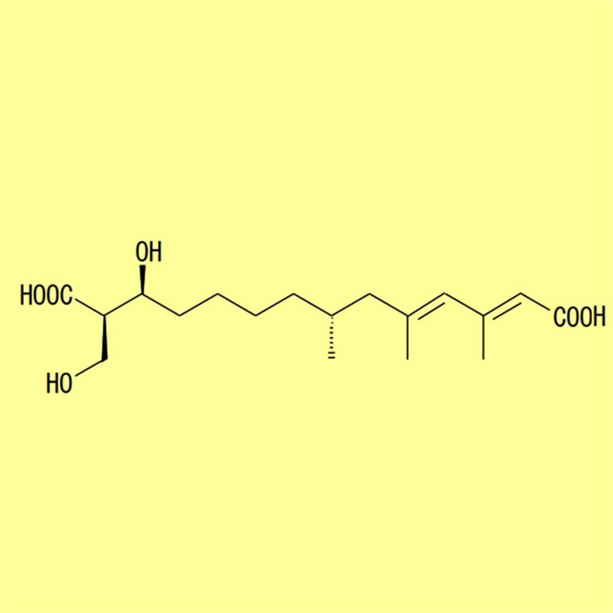 /Content/Upload/Product/BLK-0870_1200_1200_1.jpg