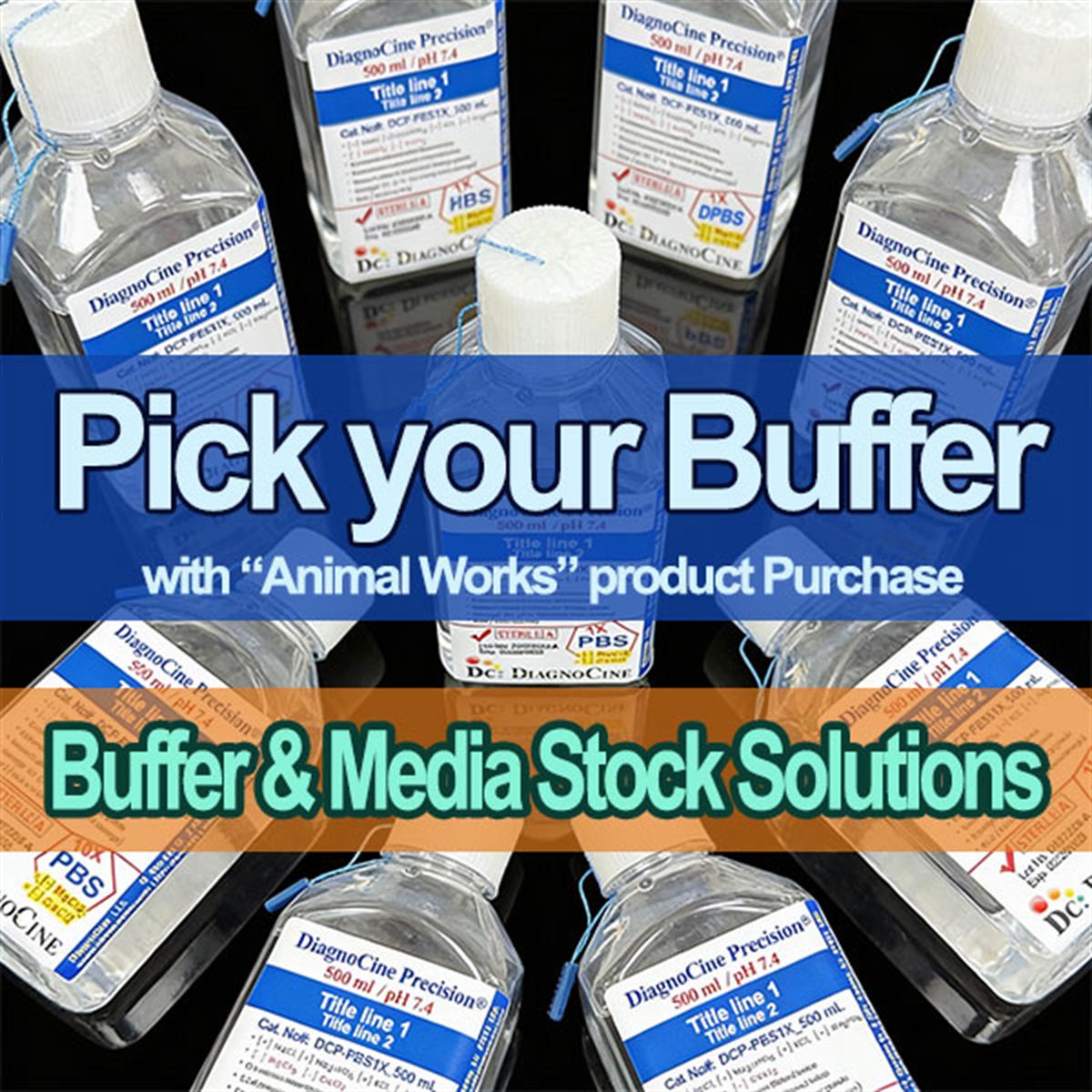 /Content/Upload/Product/Buffer-Media-Stock-Solutions-Pick-your-Buffer_1200.jpg