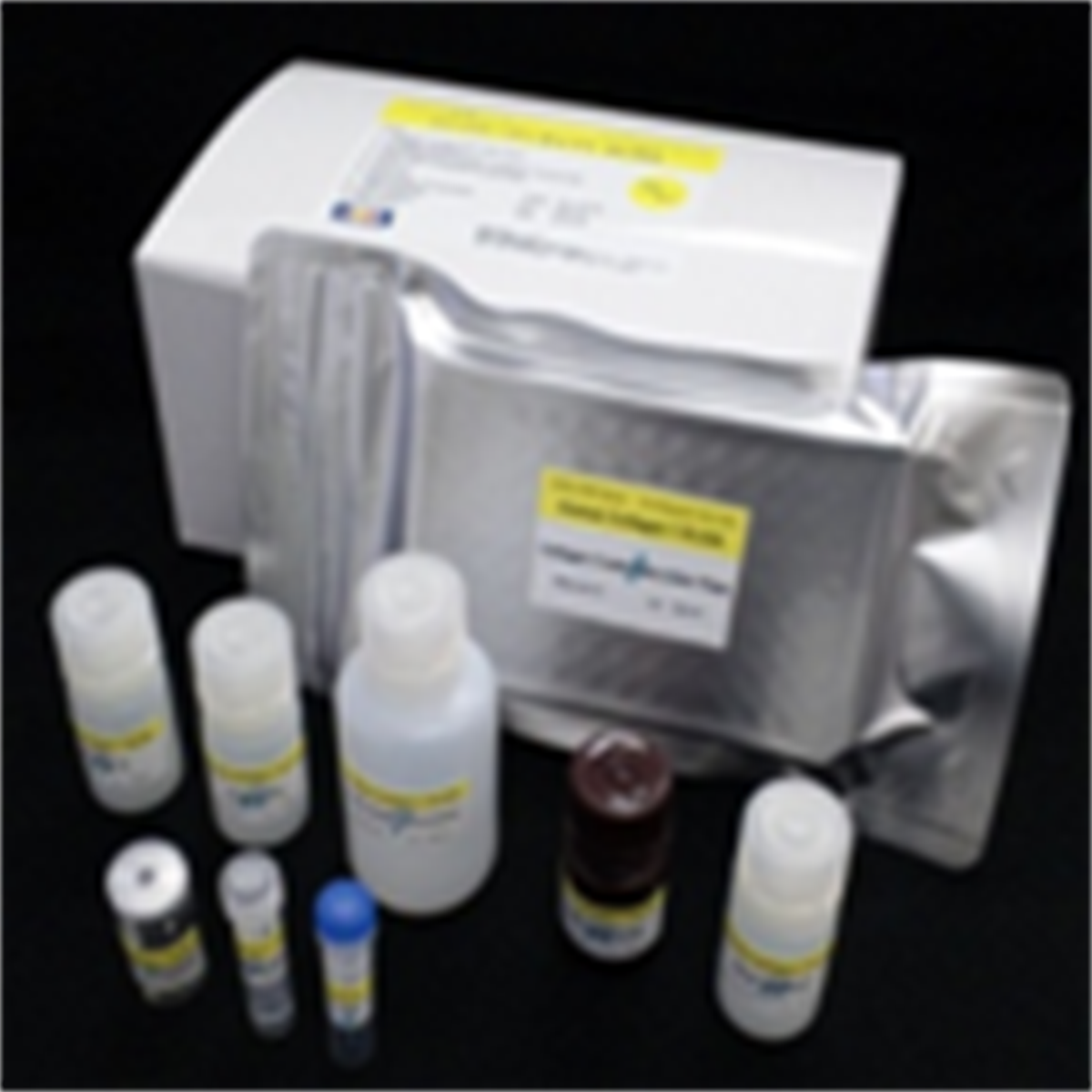 /Content/Upload/Product/CollagenType_I_Human_ELISA_Kit_1200_1.png