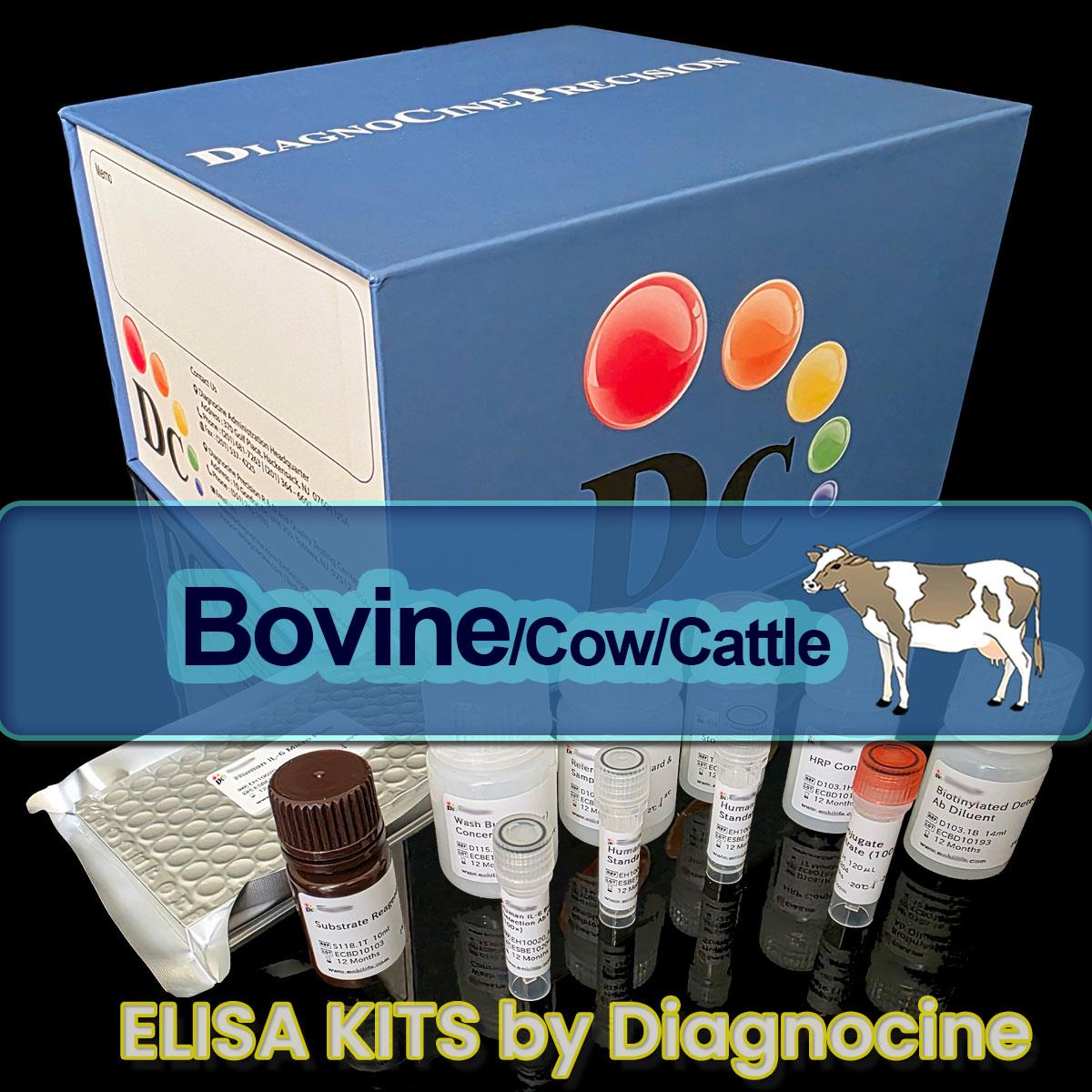 /Content/Upload/Product/Cow_ELISA_kits_Diagnocine_1200(746).jpg