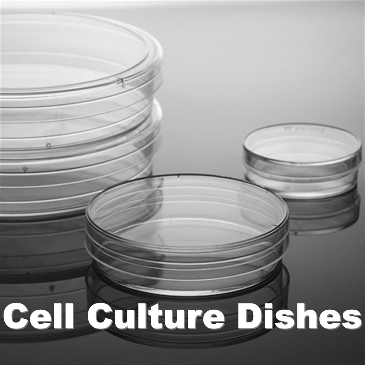 /Content/Upload/Product/DC-Dish-Plate-1_1200.jpg