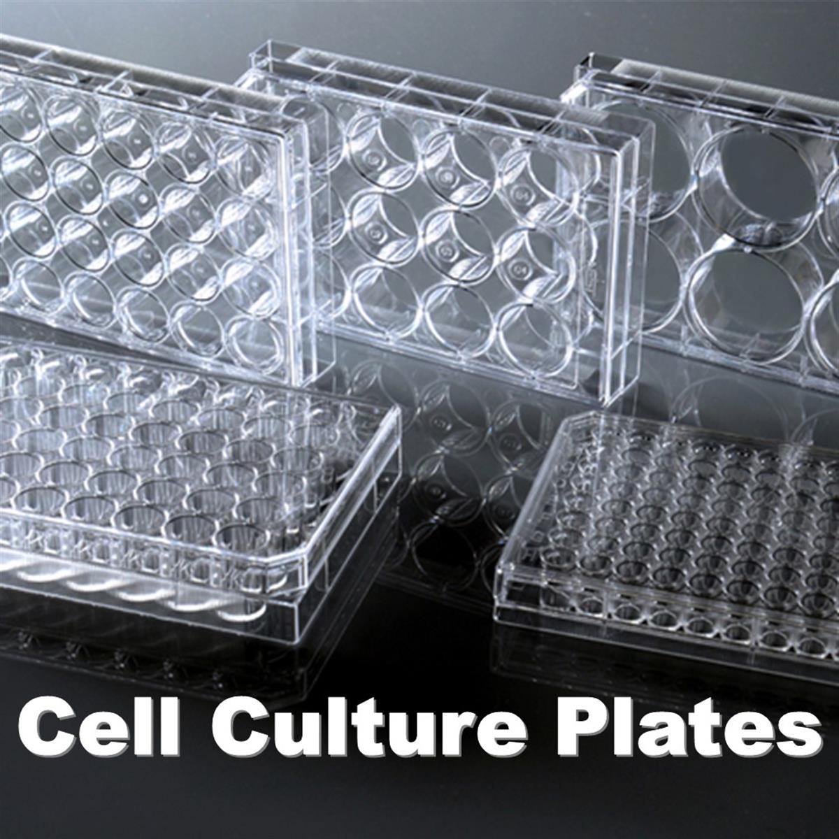 /Content/Upload/Product/DC-Dish-Plate-4_1200.jpg