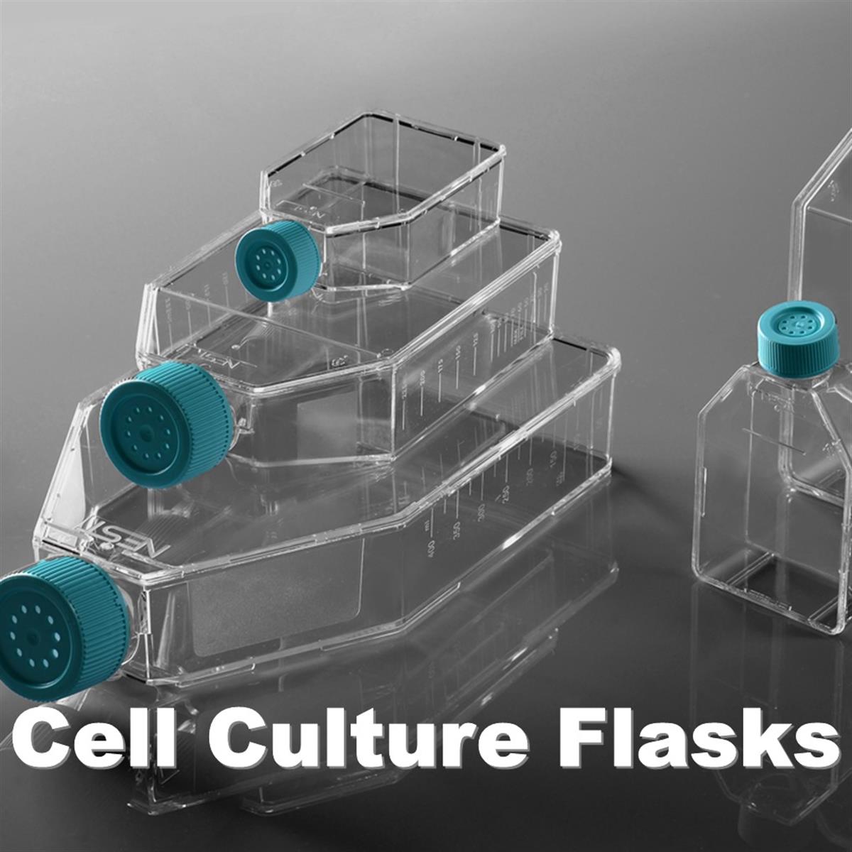 /Content/Upload/Product/DC-Flask-Bottle-2_1200.jpg