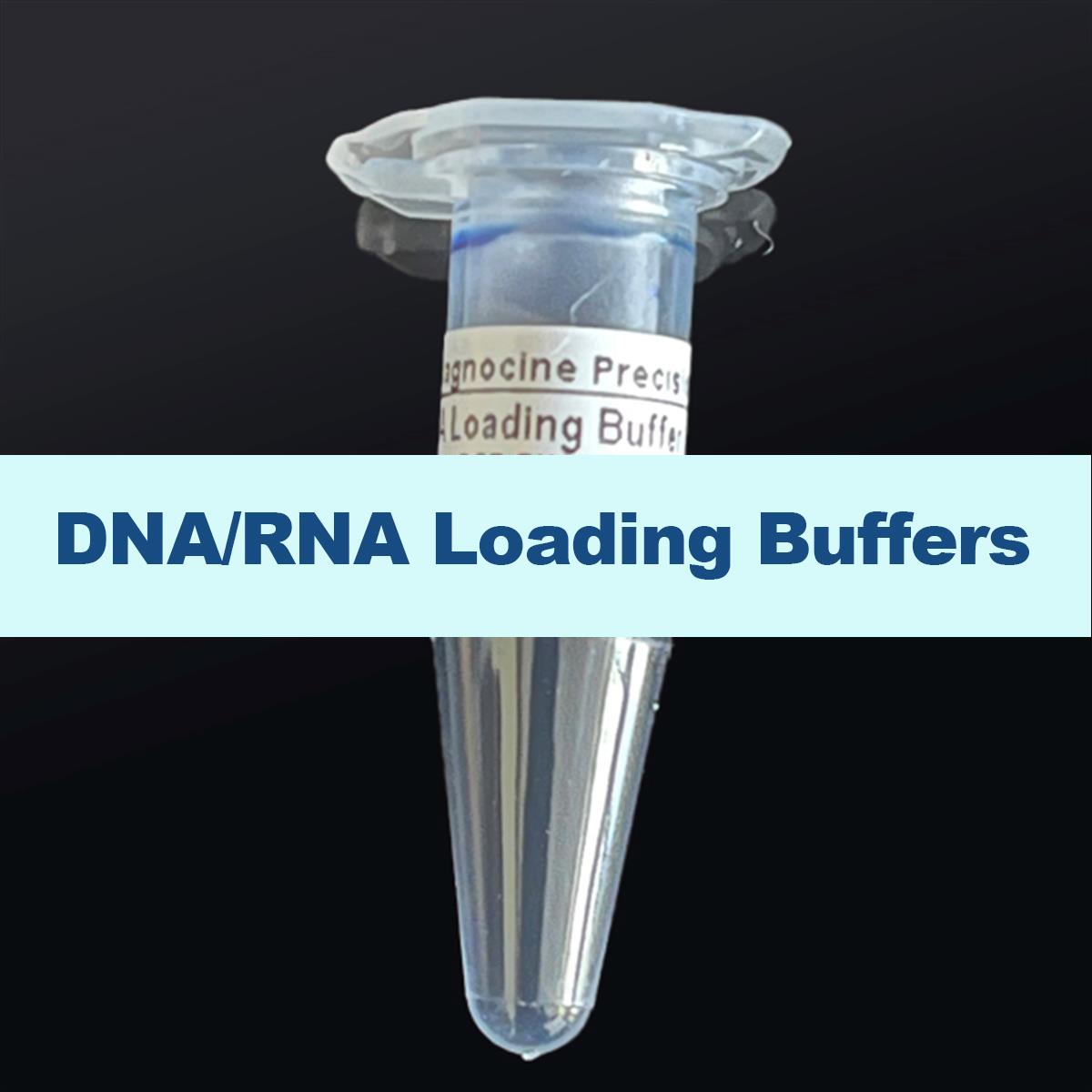 /Content/Upload/Product/DNA-RNA-Loading-Buffers-1200_1200.jpg