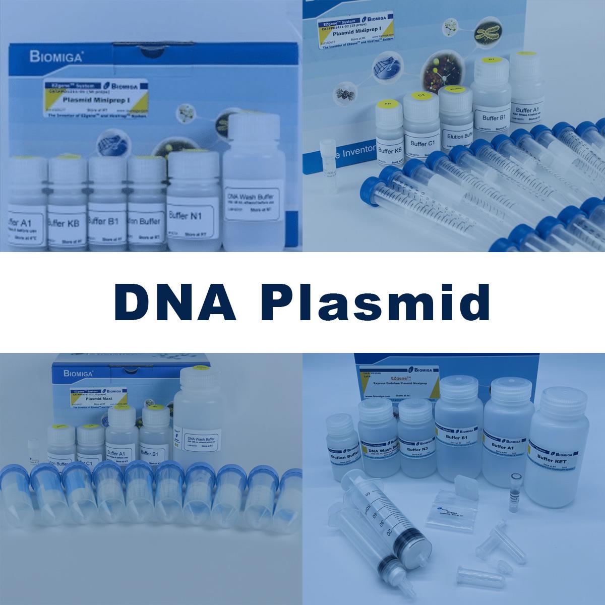/Content/Upload/Product/DNA_Plasmid_1200.jpg
