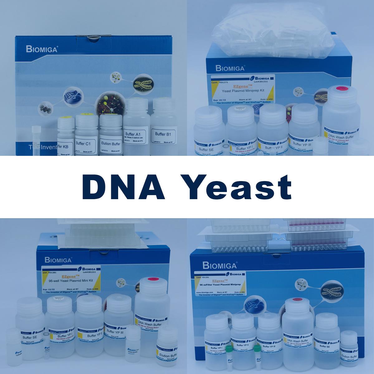 /Content/Upload/Product/DNA_Yeast_Diagnocine_1200.jpg