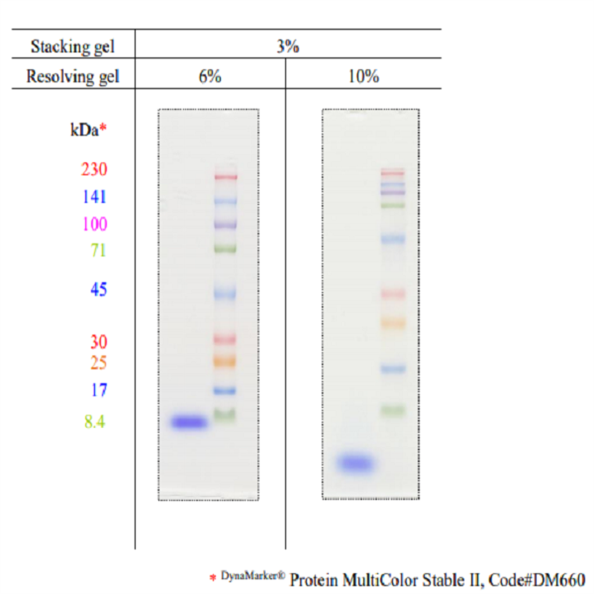 /Content/Upload/Product/DS522_w600_diagnocine_1200.png