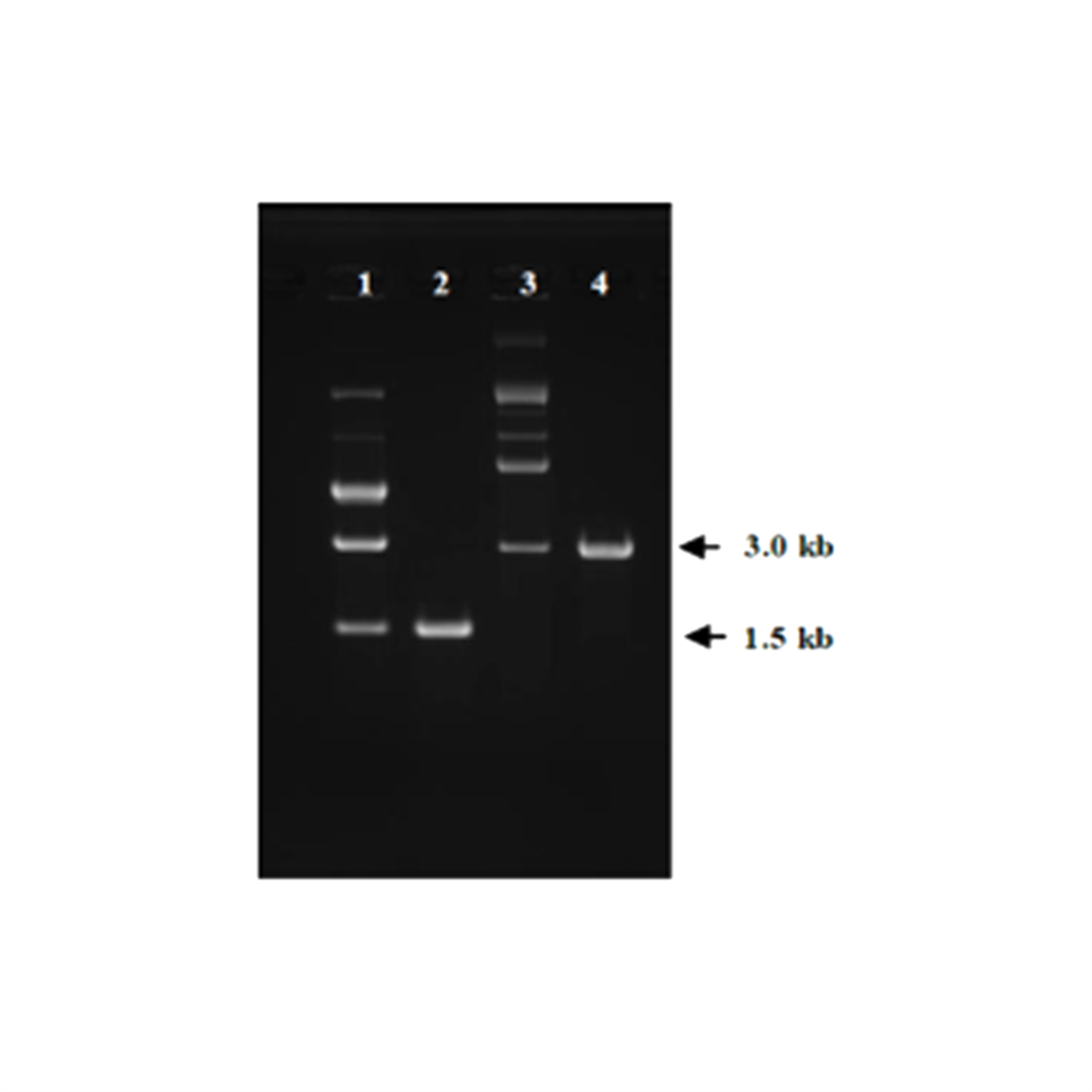 /Content/Upload/Product/DS612_fig1_1200_5.png