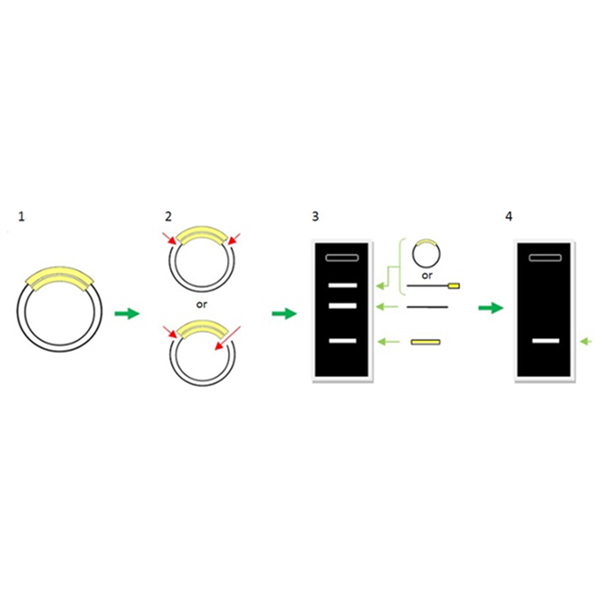 /Content/Upload/Product/DS615_Fig1_1200_1200_1.png