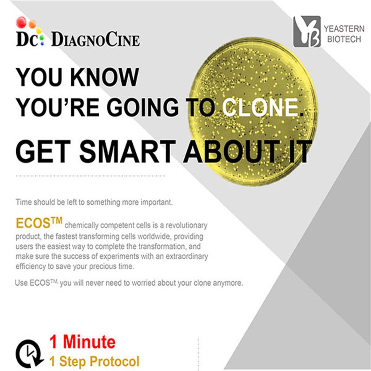 /Content/Upload/Product/ECOS-Competent-Cells_info_001_w600_Diagnocine_1200.jpg
