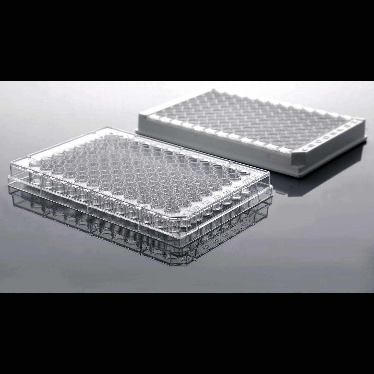/Content/Upload/Product/Elisa_plates-1_1200_1200_1.png