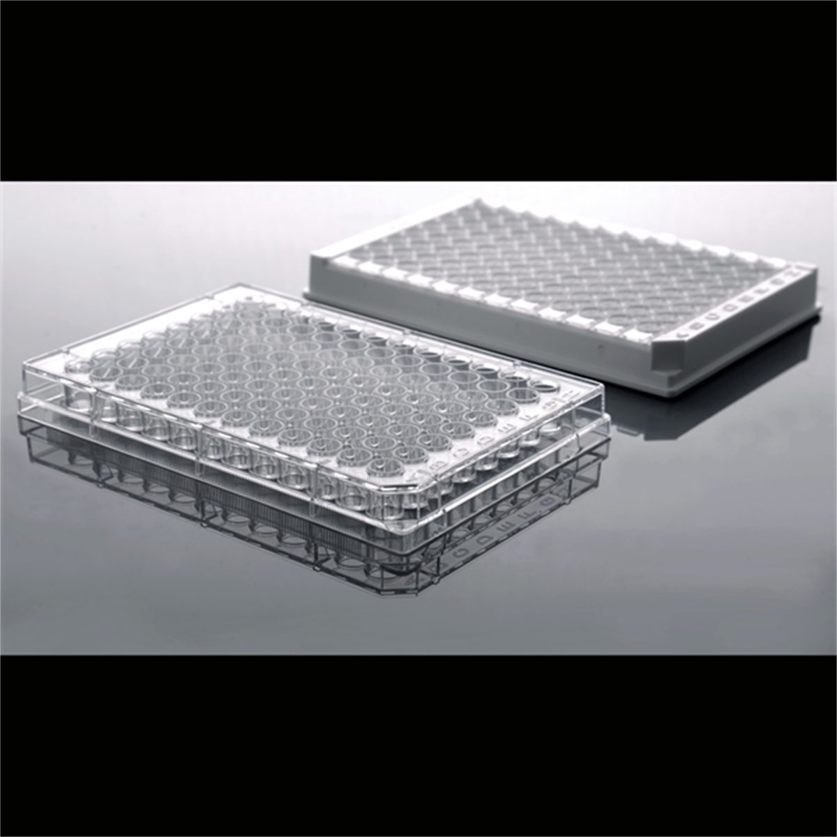 /Content/Upload/Product/Elisa_plates-1_1200_600_1200_1200.png