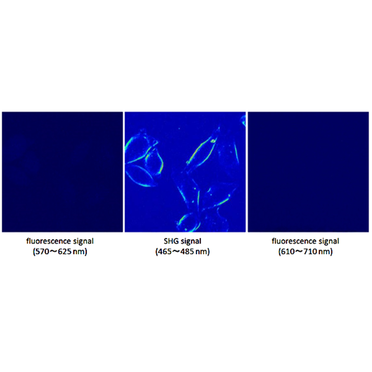 /Content/Upload/Product/FDV-0008_1_1200_1.png