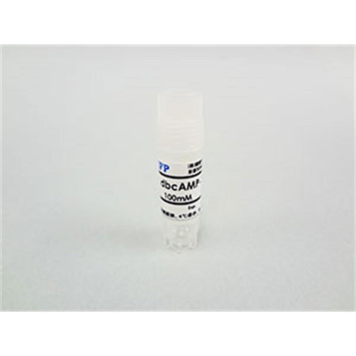 /Content/Upload/Product/FNK-IFP1060P_dbcAMP-concentrated-solution-100X_w600_Diagnocine_1200.jpg