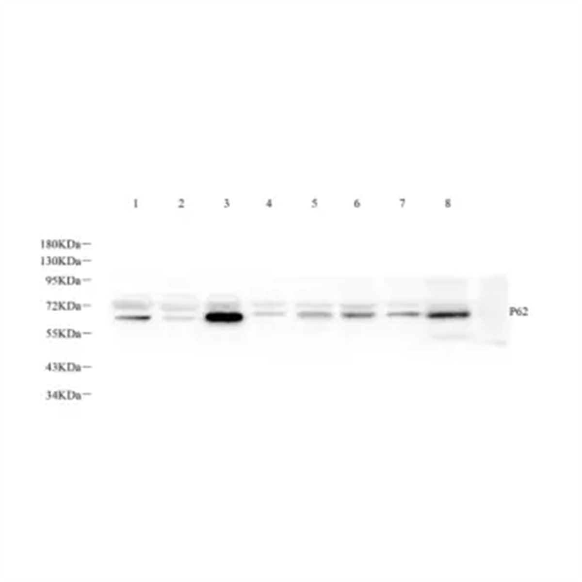 /Content/Upload/Product/GB11239-1-1_1200.png