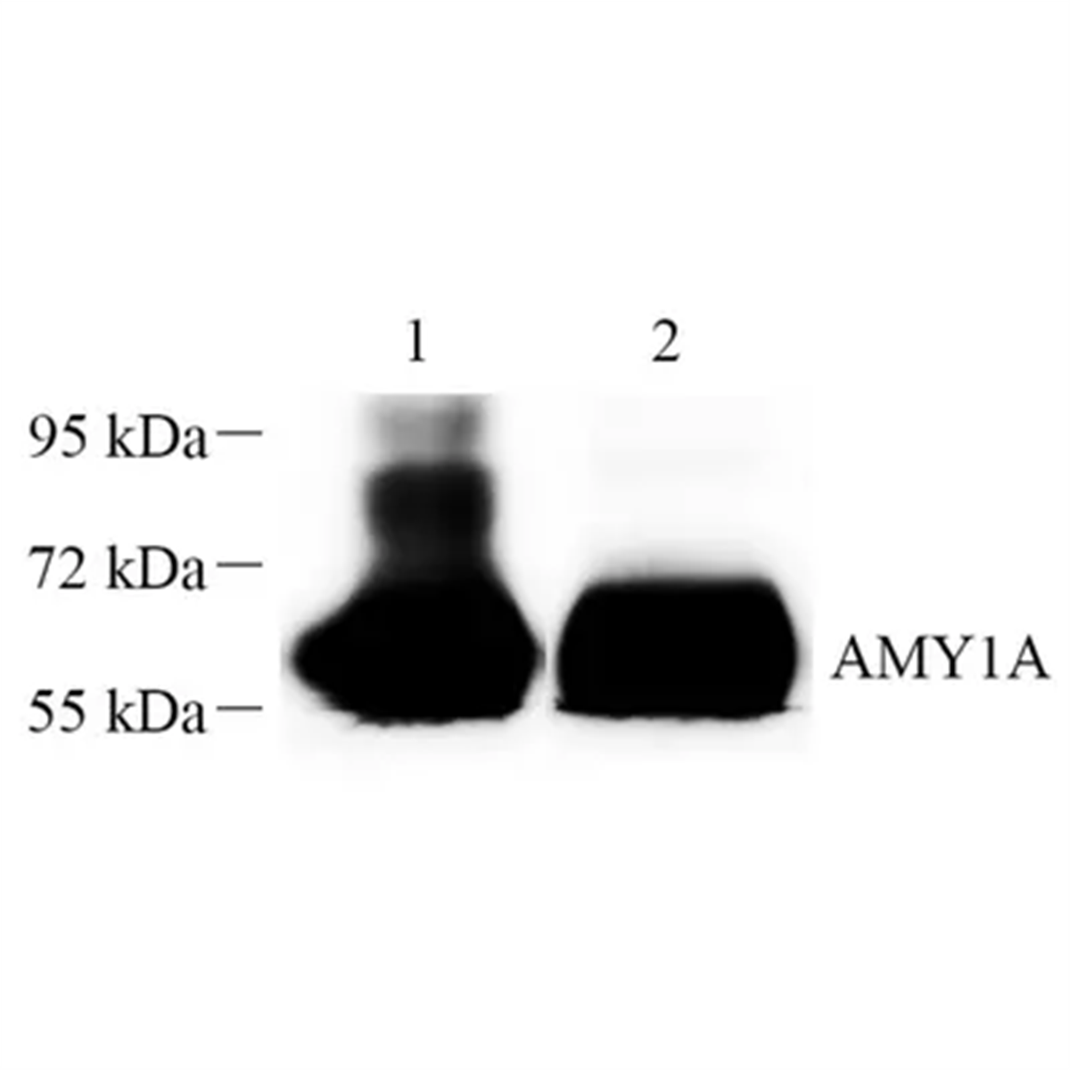 /Content/Upload/Product/GB112405-1_1200.png