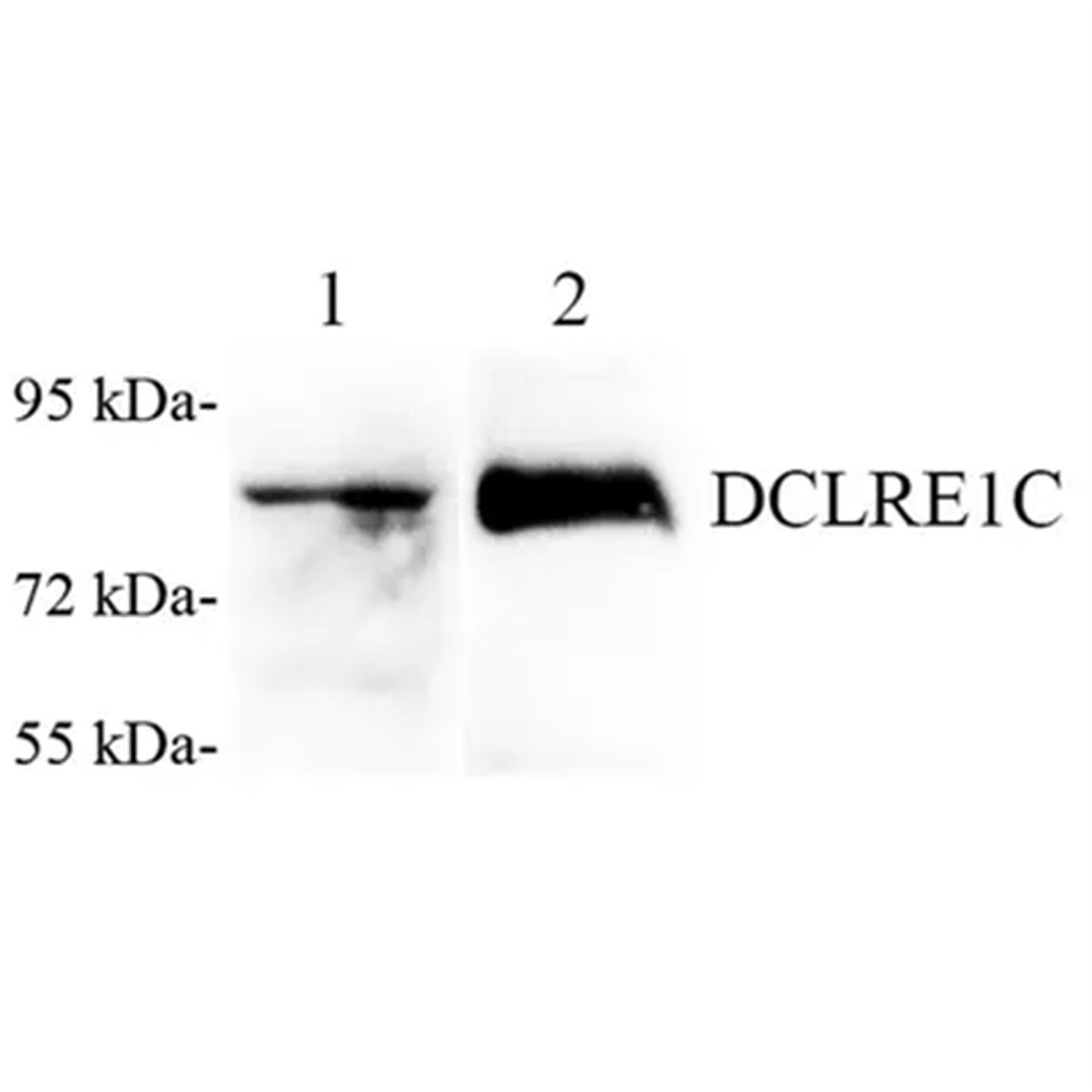/Content/Upload/Product/GB112410-1_1200.png