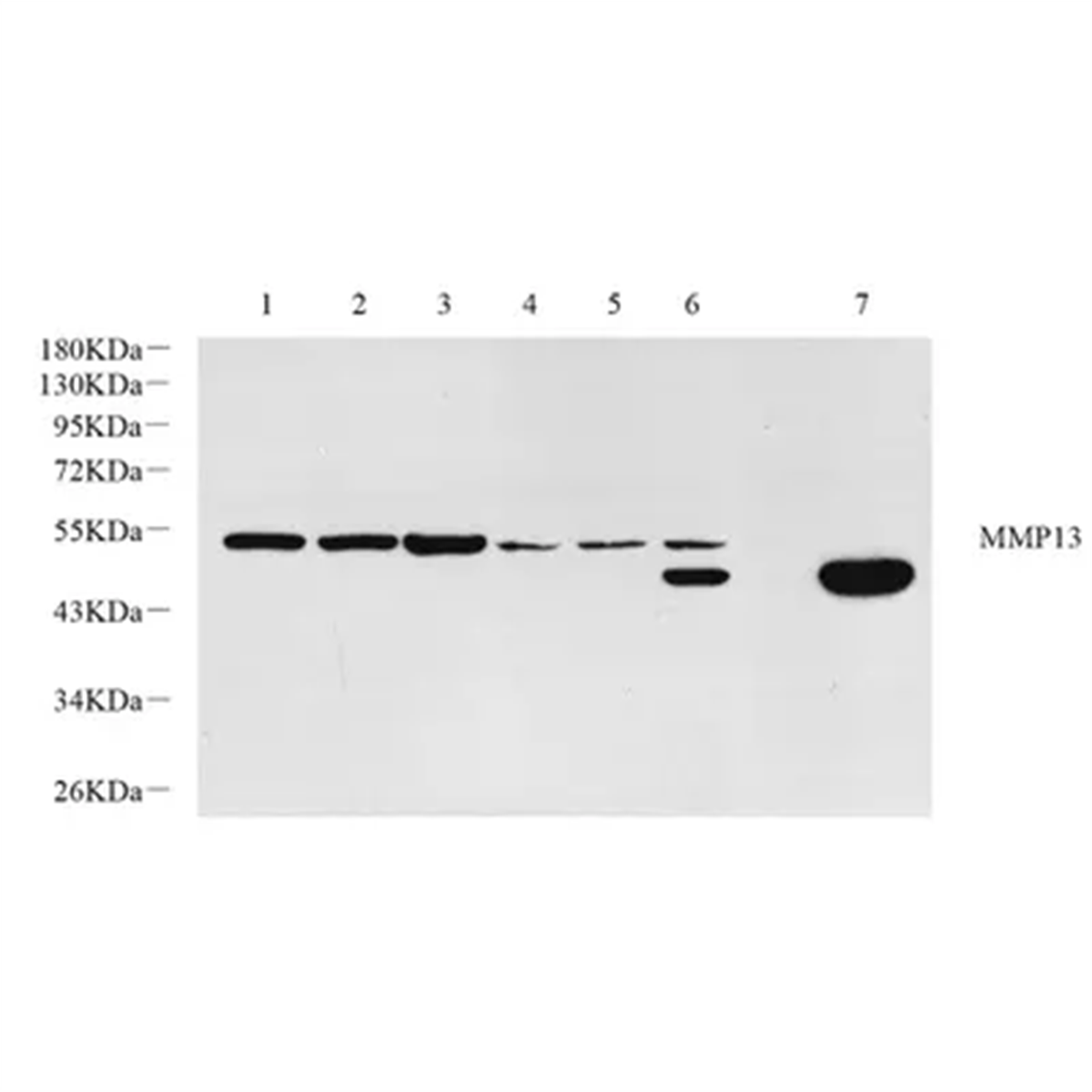 /Content/Upload/Product/GB11247-1-1_1200.png