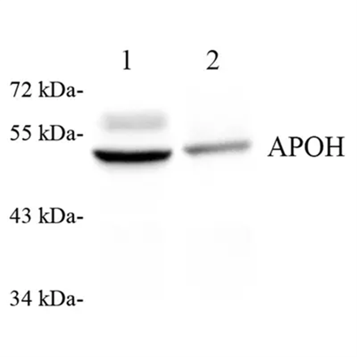 /Content/Upload/Product/GB112512-1_1200.png
