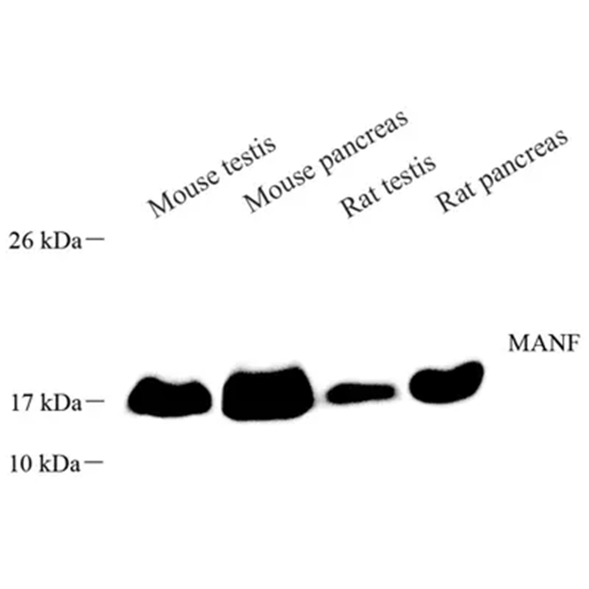 /Content/Upload/Product/GB113576_1200.png