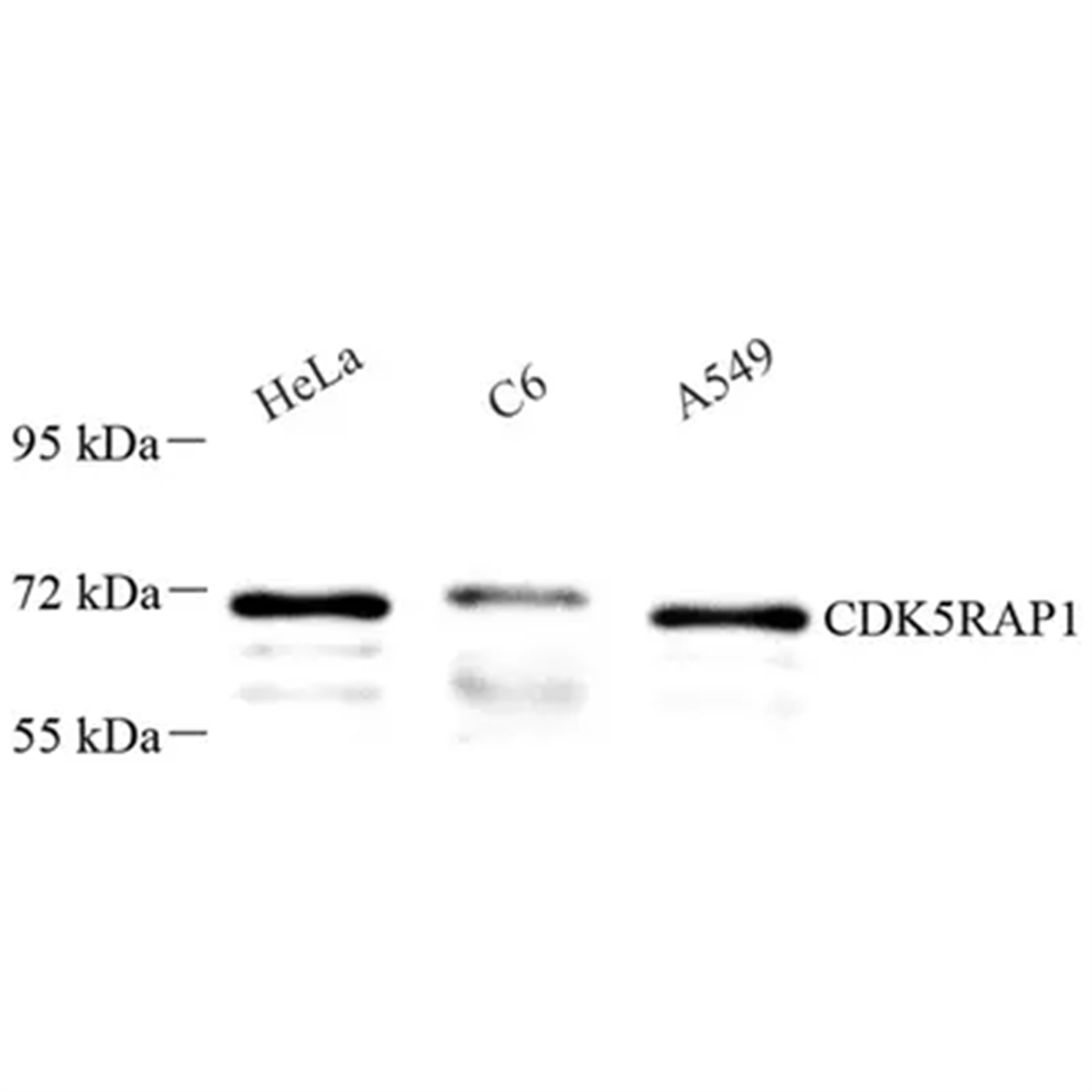 /Content/Upload/Product/GB113634_1200.png