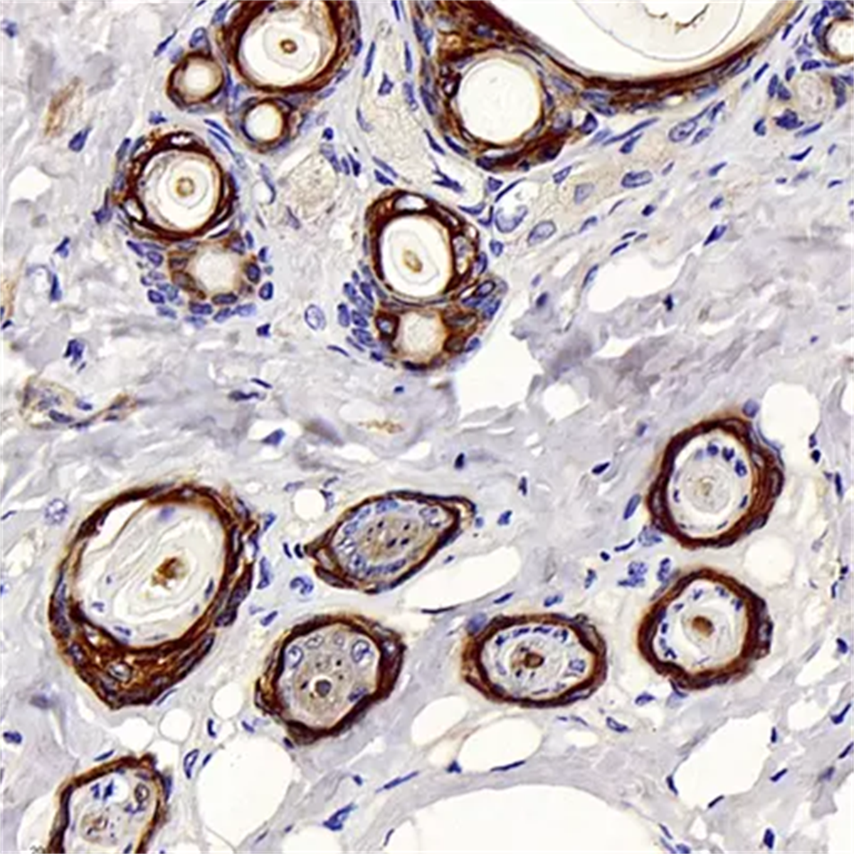 /Content/Upload/Product/GB11363_1200.png