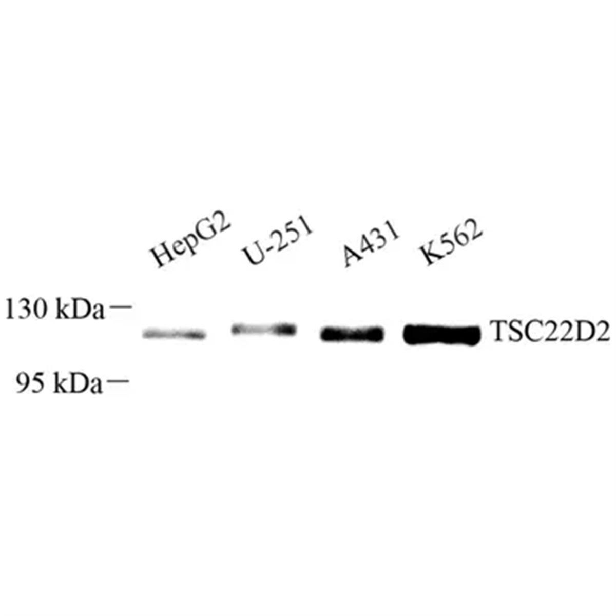 /Content/Upload/Product/GB113644_1200.png