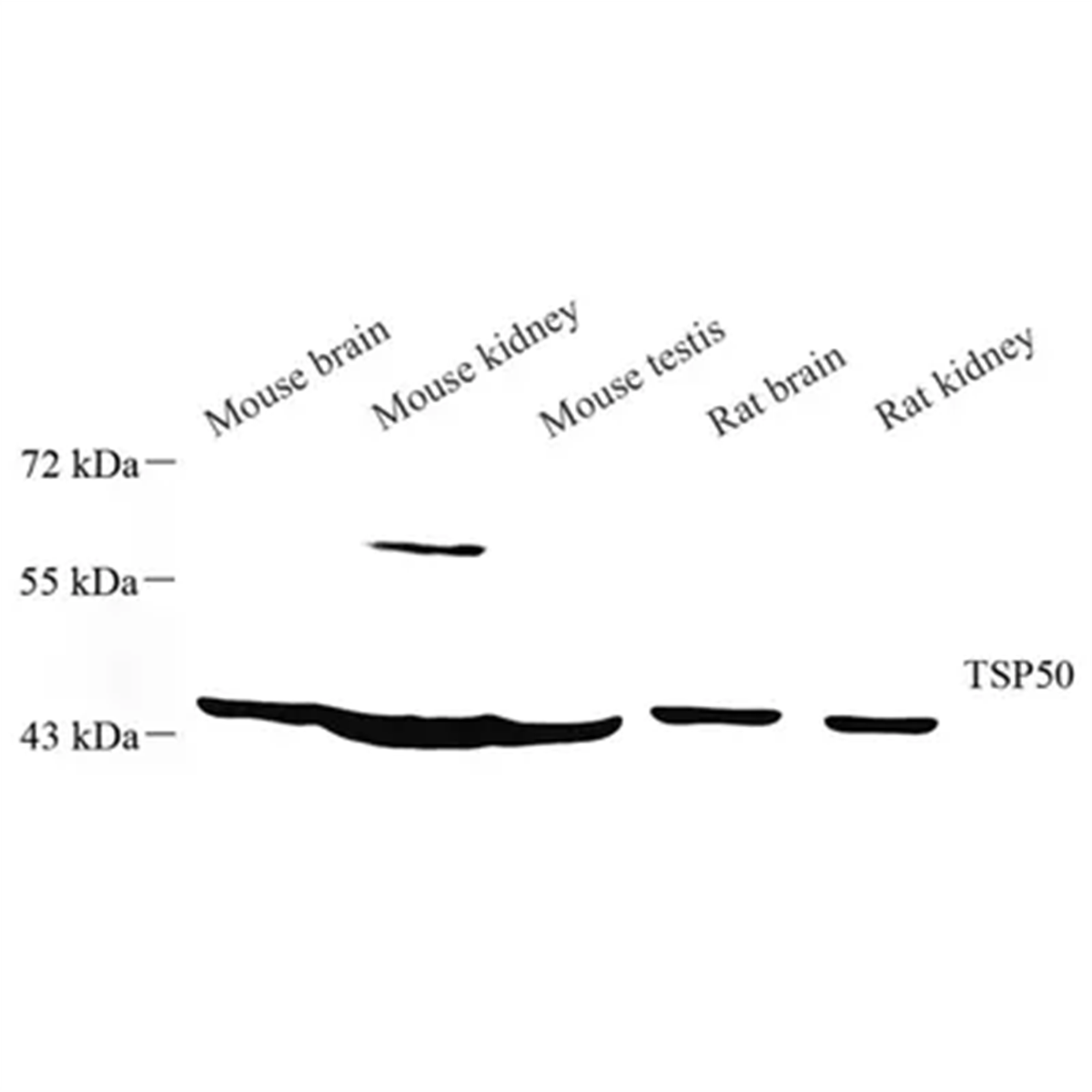 /Content/Upload/Product/GB113646_1200.png