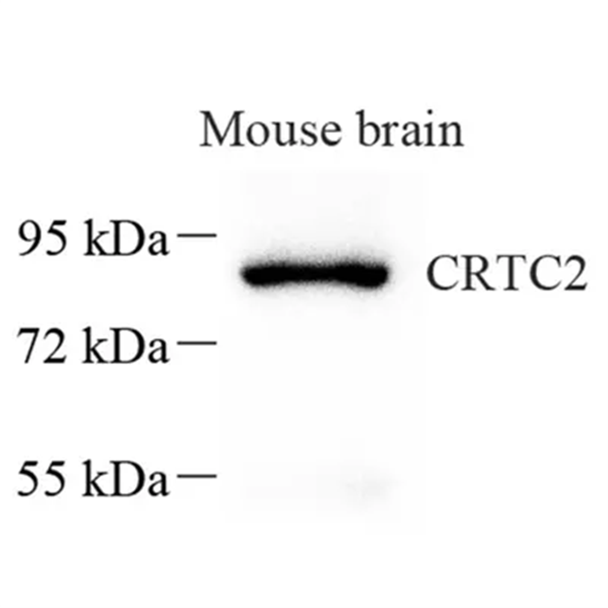 /Content/Upload/Product/GB113668_1200.png