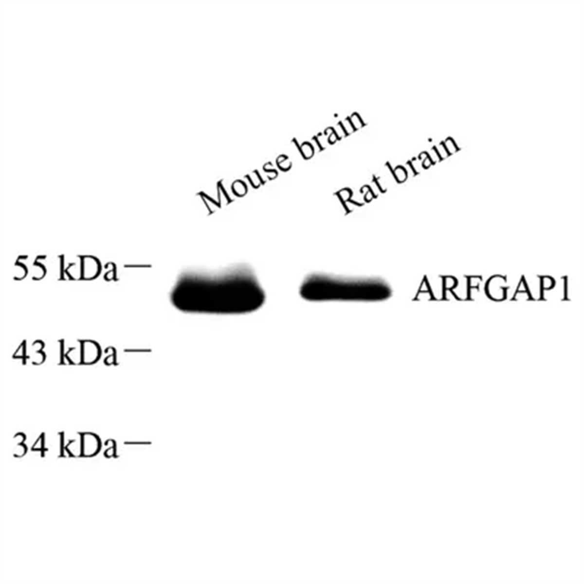 /Content/Upload/Product/GB113718_1200.png
