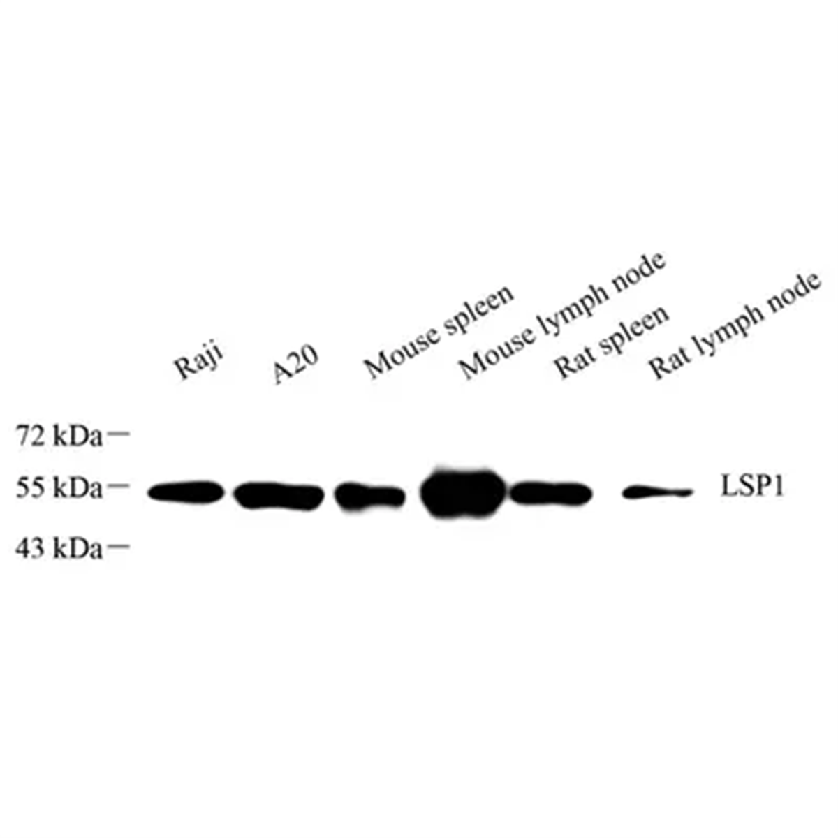 /Content/Upload/Product/GB113719_1200.png