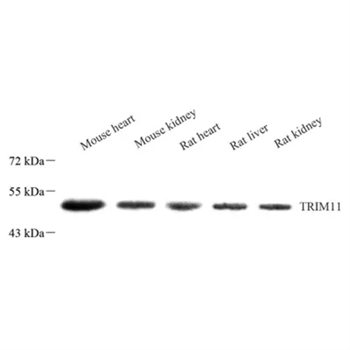 /Content/Upload/Product/GB113722_1200.png