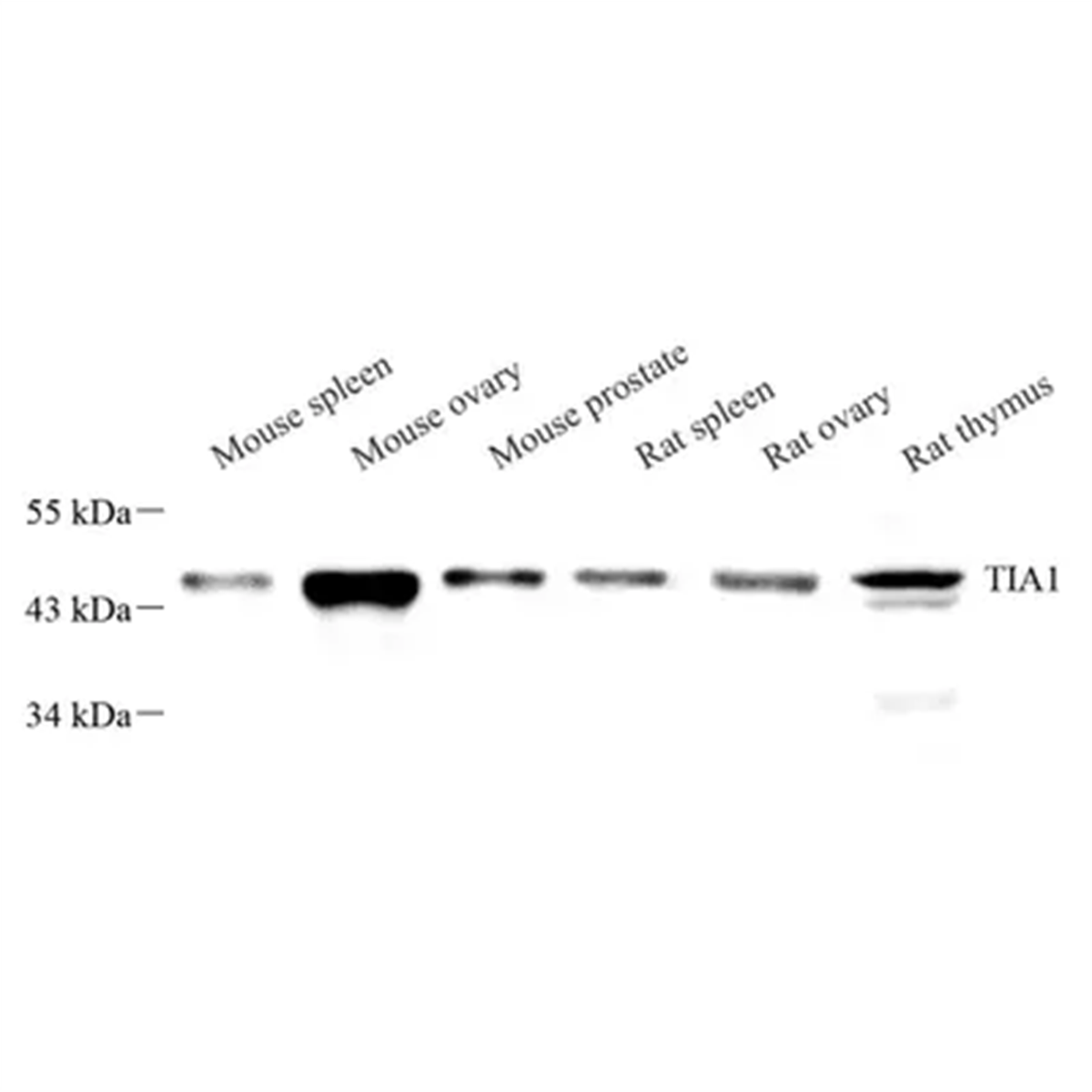 /Content/Upload/Product/GB113725_1200.png