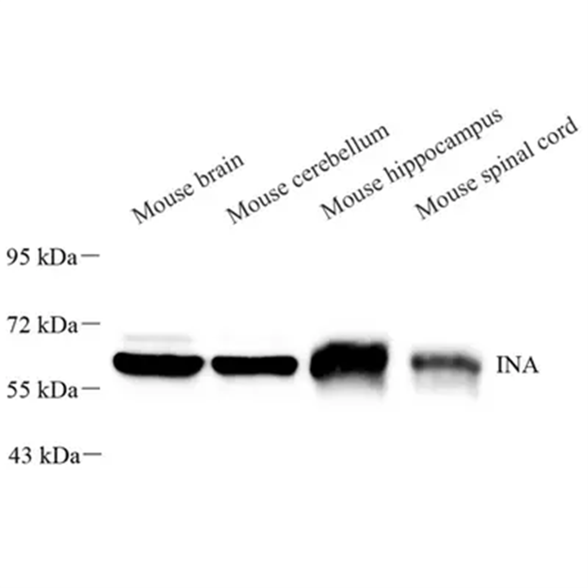 /Content/Upload/Product/GB113789_1200.png