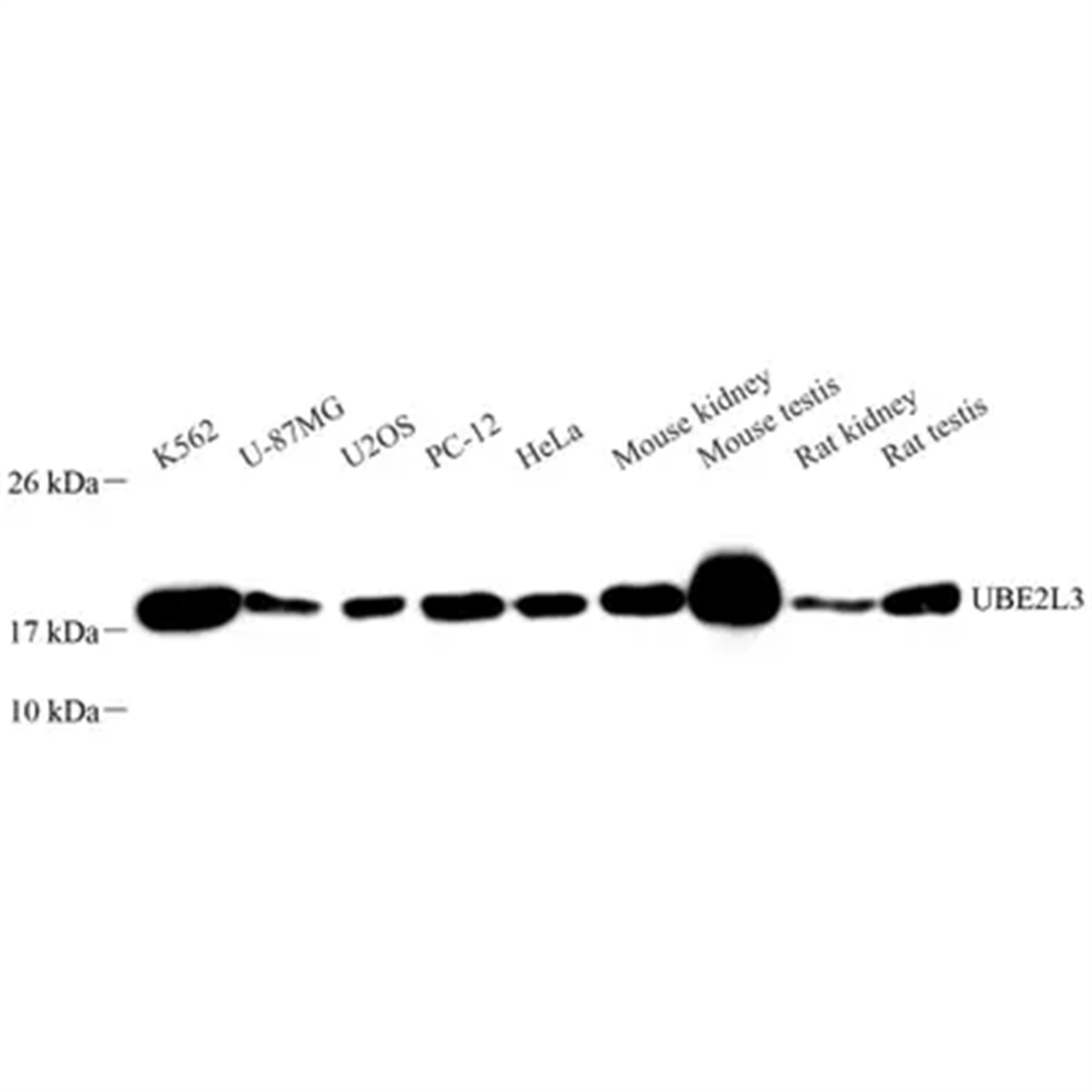 /Content/Upload/Product/GB113831_1200.png
