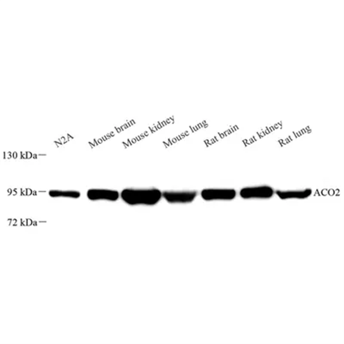 /Content/Upload/Product/GB113832_1200.png