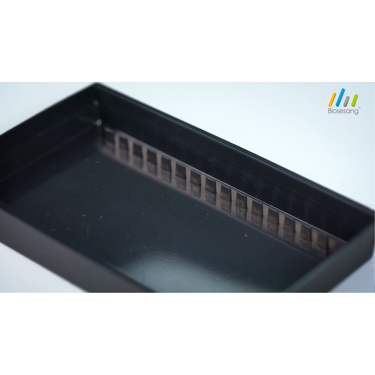 /Content/Upload/Product/Gel_Tray_1200.png