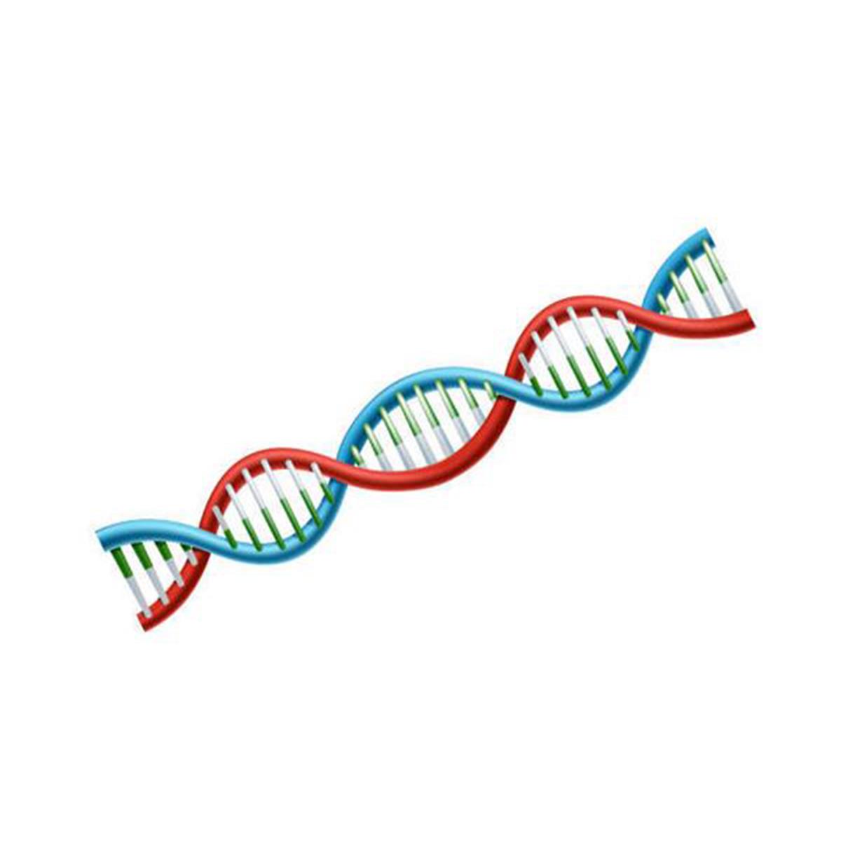 /Content/Upload/Product/Genotyping_Service_600_Diagnocine_1200.jpg