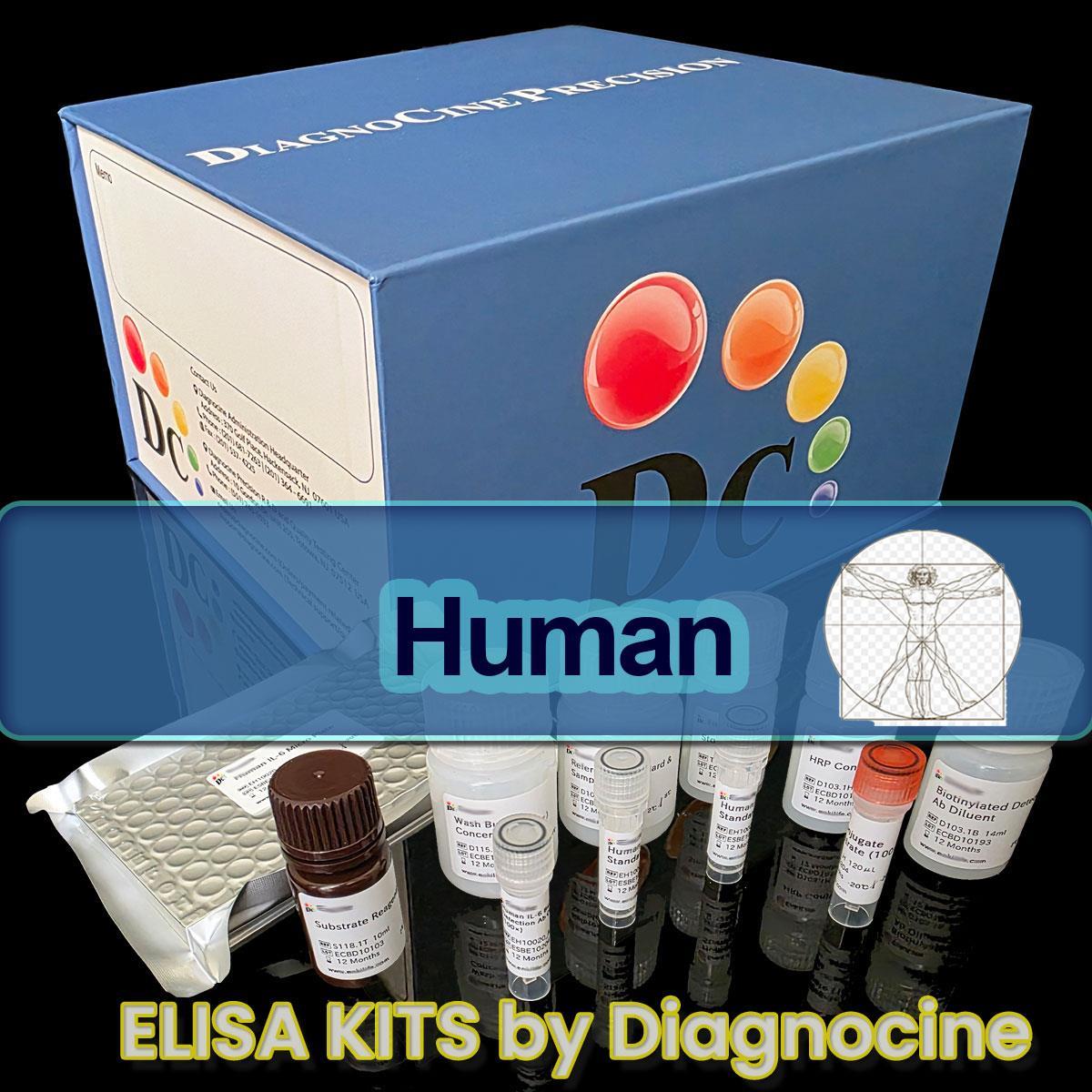 /Content/Upload/Product/Human_ELISA_kits_Diagnocine_1200_1200(403).jpg