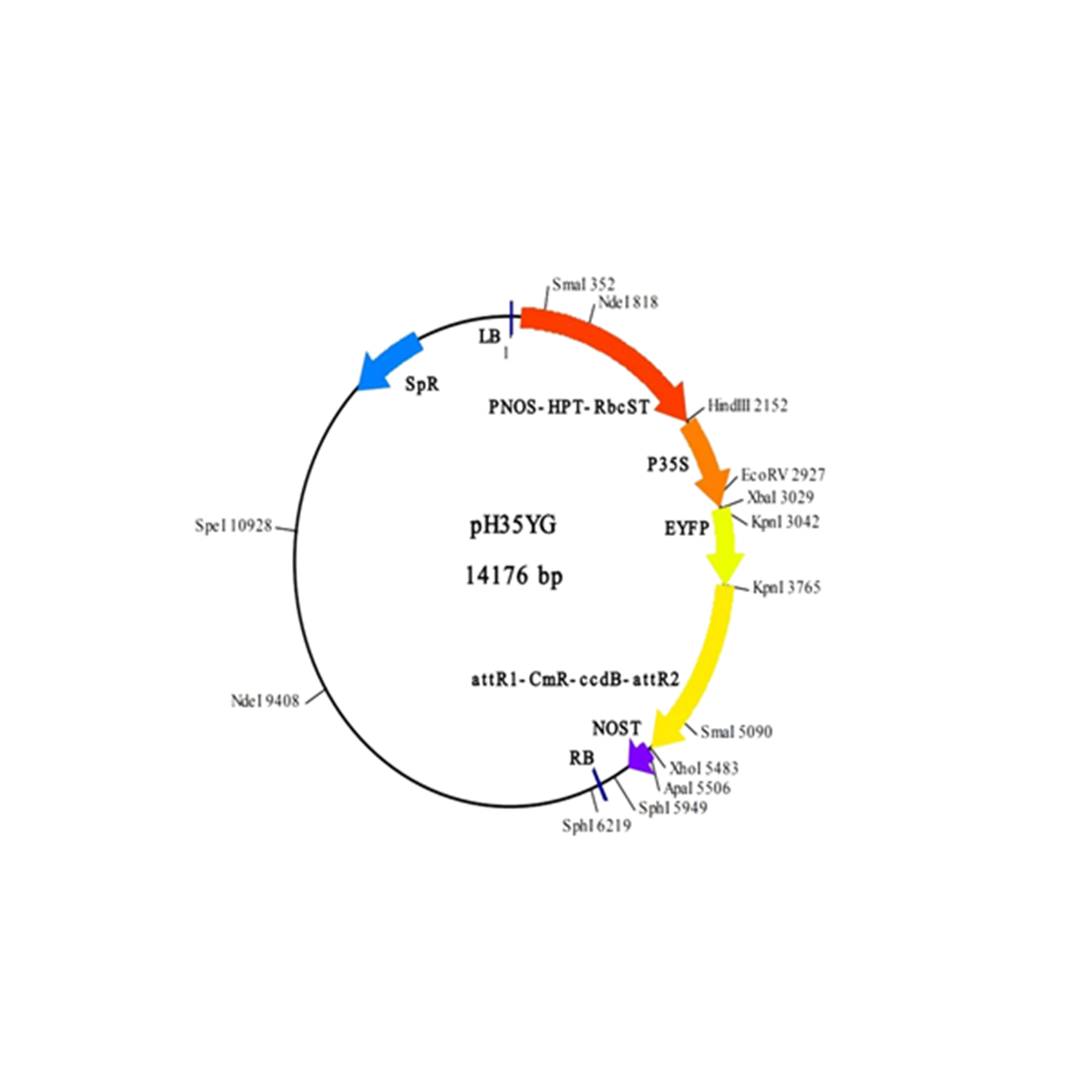 /Content/Upload/Product/IN3-VEC11_1200.png