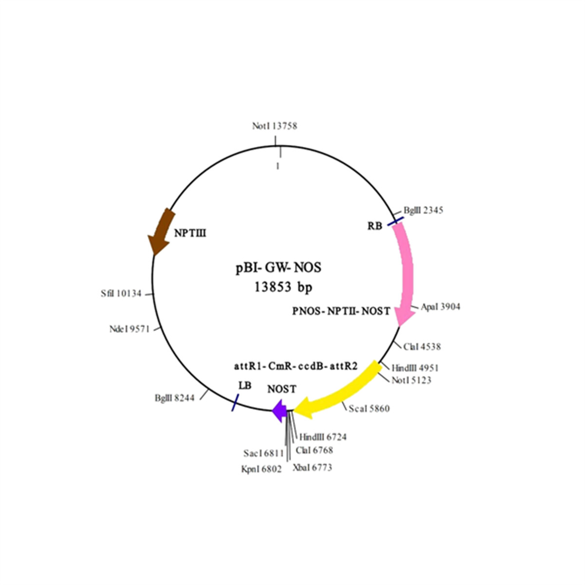 /Content/Upload/Product/IN3-VEC1_1200.png