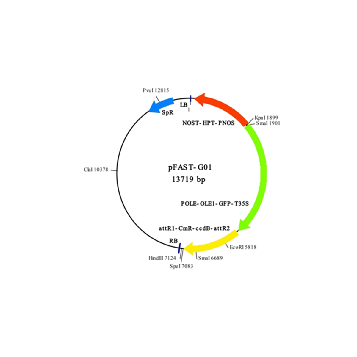 /Content/Upload/Product/IN3-VEC31_1200_1200_1200.png