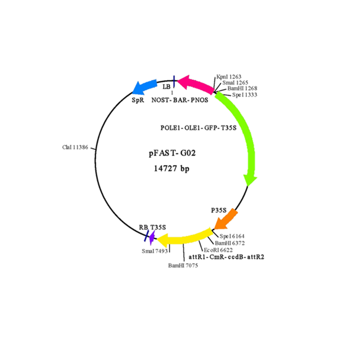/Content/Upload/Product/IN3-VEC32_fig1_1200_1200.png