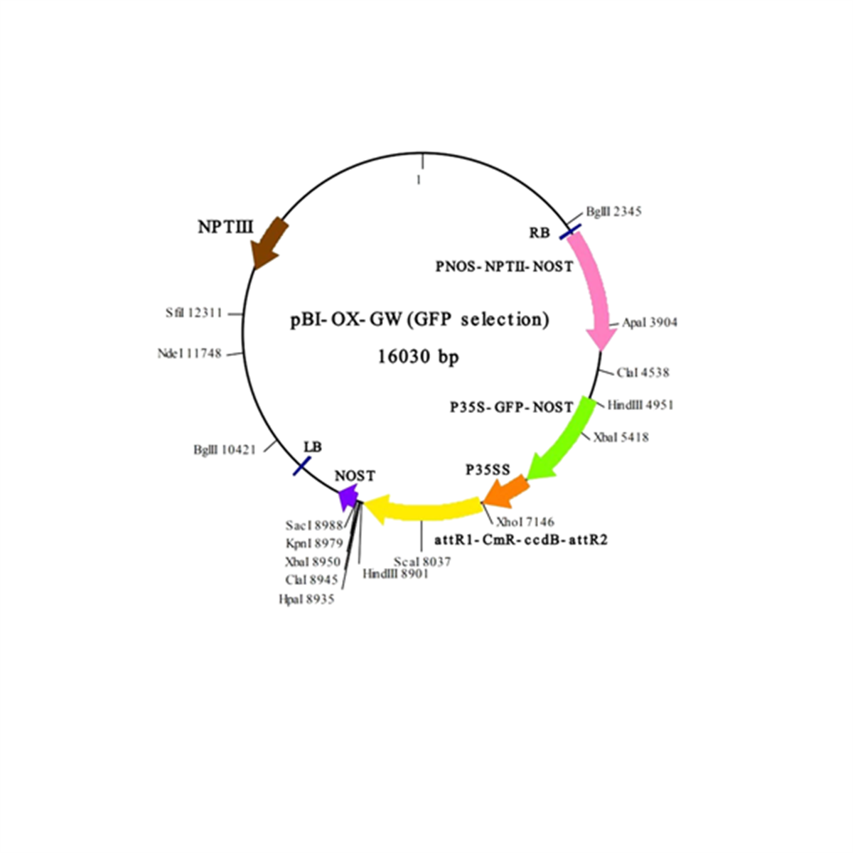 /Content/Upload/Product/IN3-VEC5_1200.png