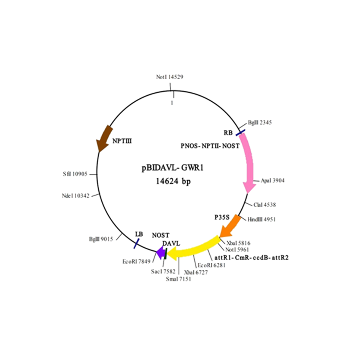 /Content/Upload/Product/IN3-VEC7_1200.png