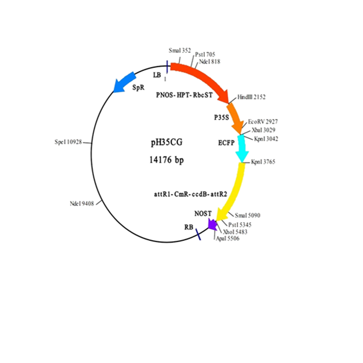 /Content/Upload/Product/IN3-VEC9_1200.png