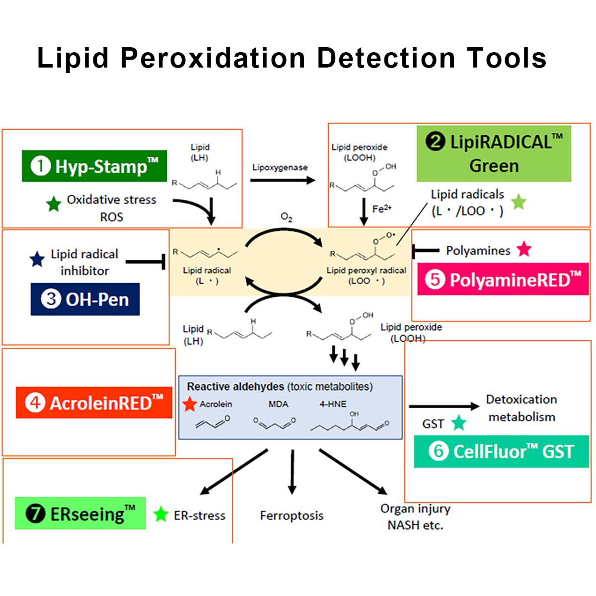 /Content/Upload/Product/Lipid-Peroxidation-Detection-Tools_img_Diagnocine_1200.jpg