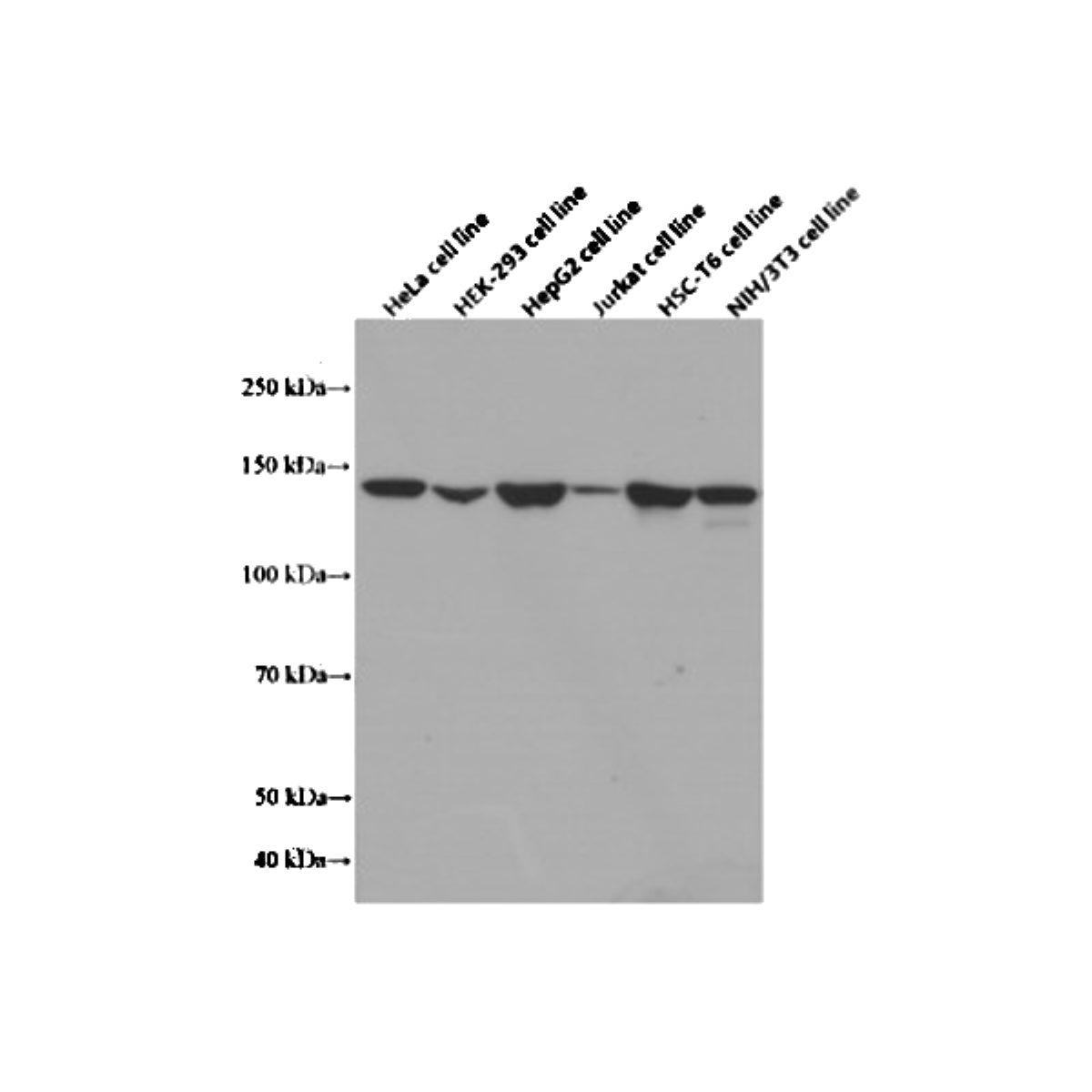 /Content/Upload/Product/MKA1081AF_fig1_1200.png